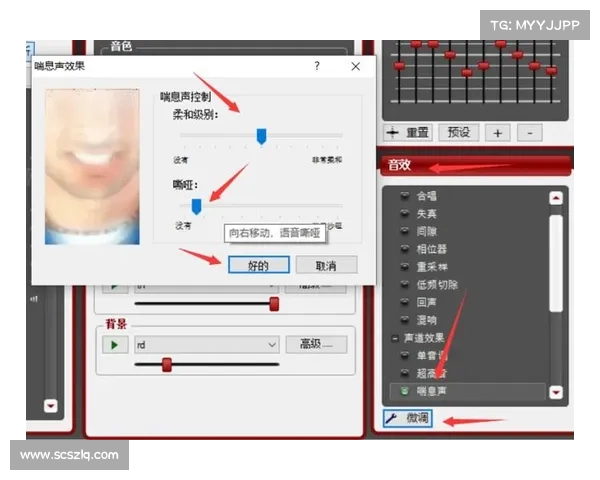 探索MorphVox Pro语音变换技巧与最佳实践提升使用体验 探索MorphVox Pro语音变换技巧与最佳实践提升使用体验