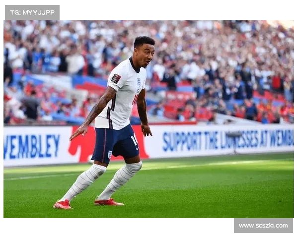 从林加德被调侃事件看公众人物形象管理与社会舆论反思