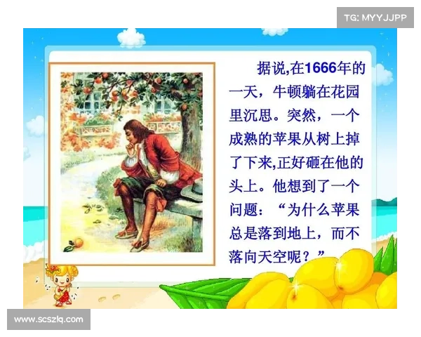 《维尔贝克与黑贝：揭开跨越世纪的秘密与深层关联》