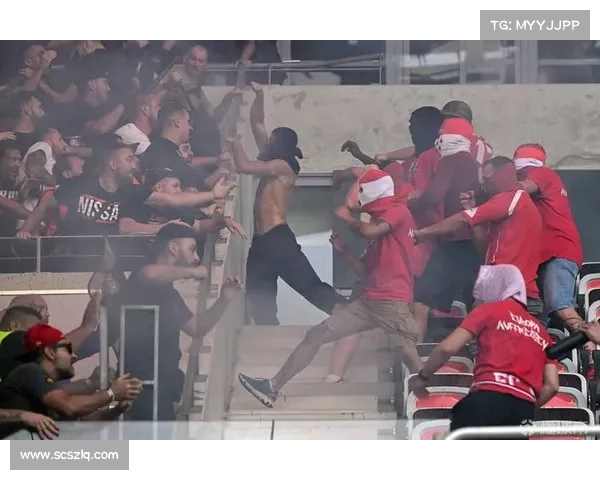 海瑟尔关事件在足球史上的深远影响与全球足球治理改革启示重要